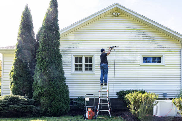 Best Patio and Deck Pressure Washing  in Black Earth, WI